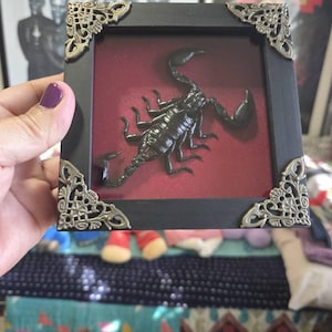 Yvette added a photo of their purchase