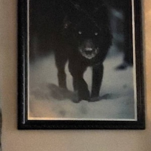 Jimmy adicionaram uma foto da sua compra
