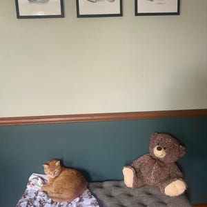 Molly added a photo of their purchase