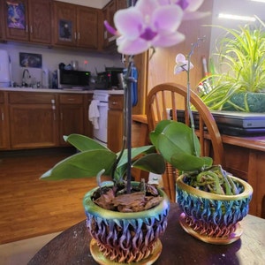 Lisa added a photo of their purchase