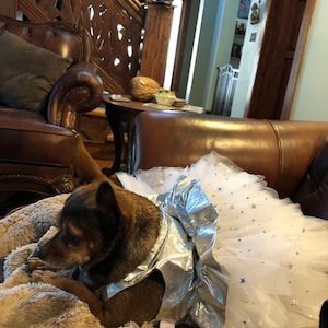 Lorna, added a photo of their purchase
