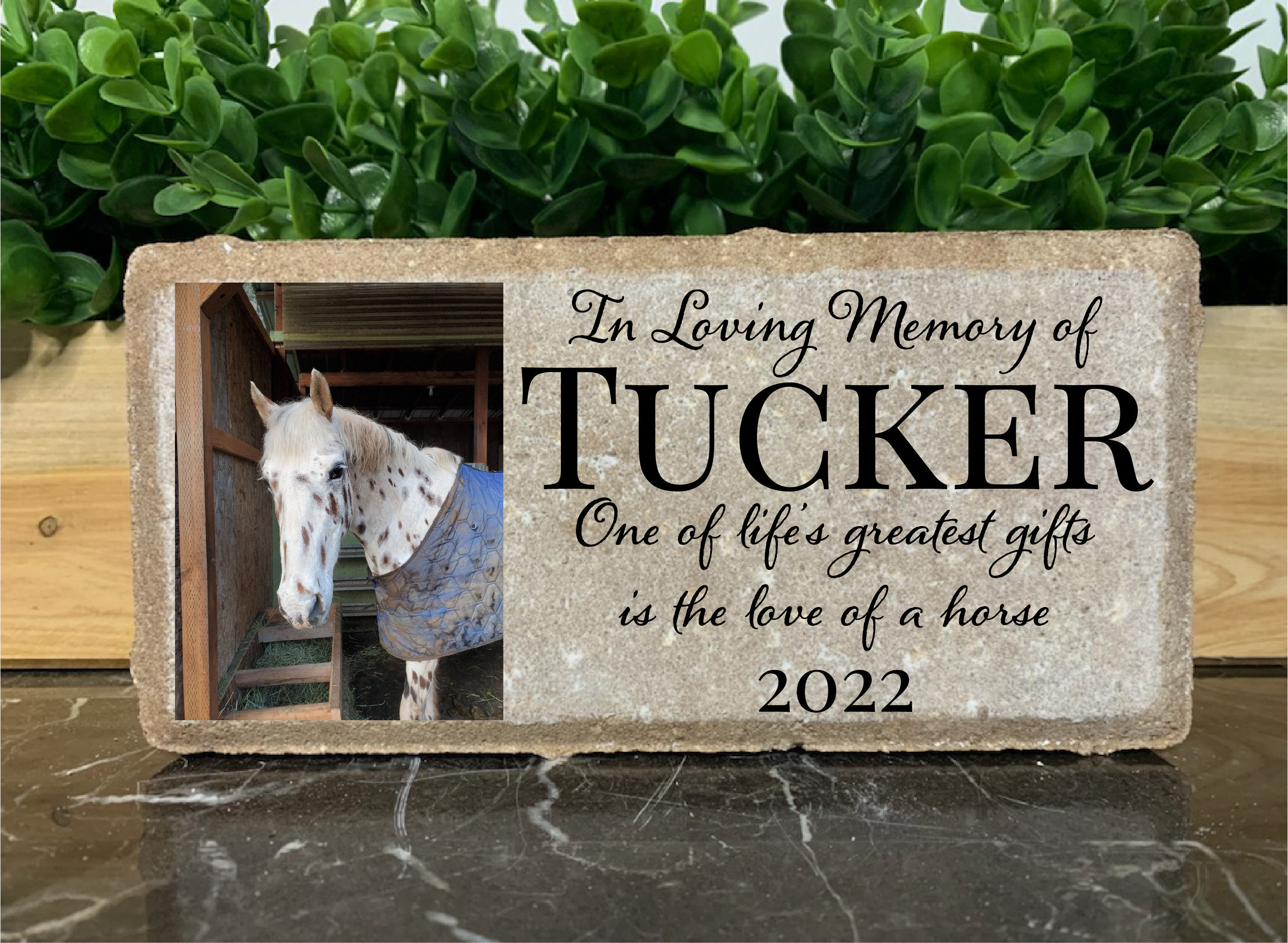 Personalized Horse Pony Memorial Stone. 8x4 Stone Brick. Burial Marker. Indoor/Outdoor Horse Memorial. Custom Horse Sympathy Gift.