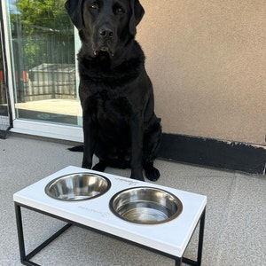 Juego de cuencos de acero inoxidable de la marca con pie ajustable para mascotas, comedero para perros de acero inoxidable + soporte de altura ajustable (1800 ml (negro Juego de cuencos de acero inoxidable de la marca con pie ajustable para mascotas, comedero para perros de acero inoxidable + soporte de altura ajustable (1800 ml (negro