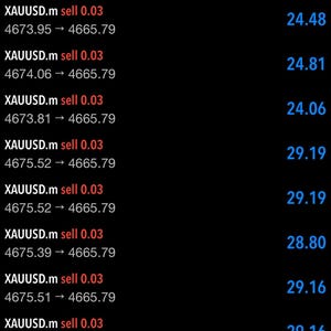 Aurora さんが購入した商品の写真を追加しました