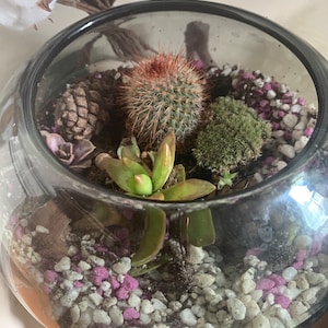 Evelyn a ajouté une photo de son achat