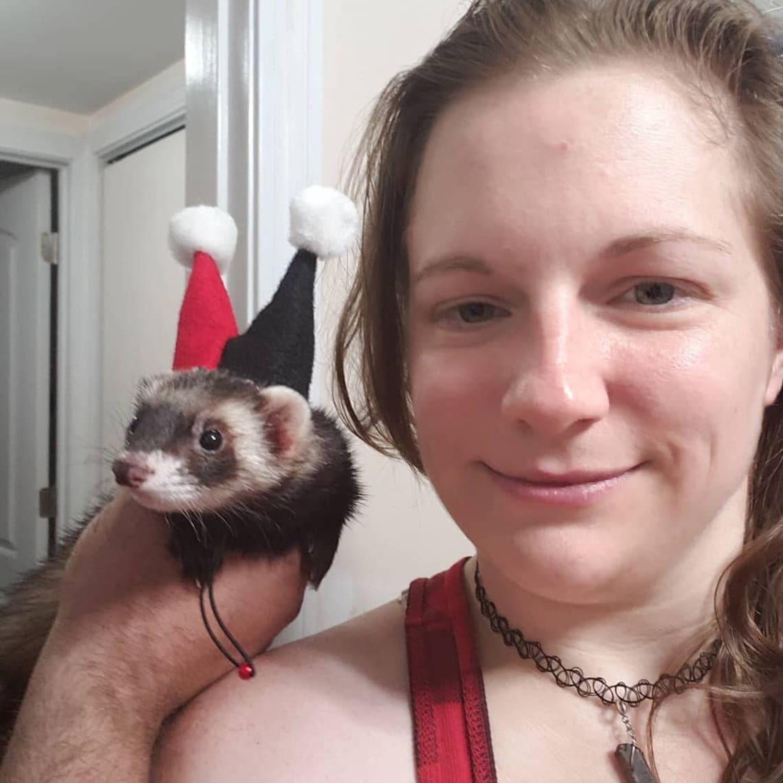 Customer photo of a pet with the Jester Hat  for small pet Hedgehog Vogue Guinea