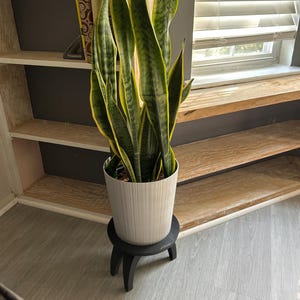 Victoria added a photo of their purchase