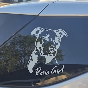 Ben added a photo of their purchase