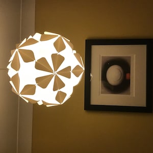 RODERIC added a photo of their purchase