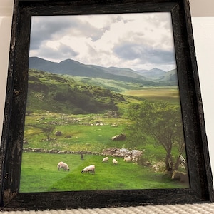 Lisa added a photo of their purchase