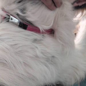 Narelle ha añadido una foto de su compra