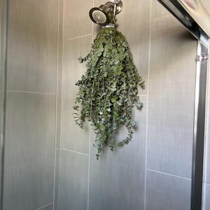 Laurel added a photo of their purchase
