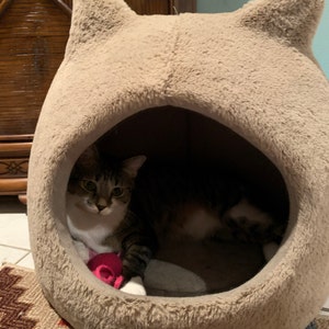Cheryl added a photo of their purchase