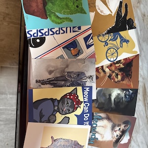 Haley a ajouté une photo de son achat