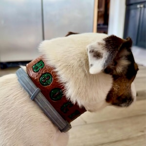 Connor added a photo of their purchase