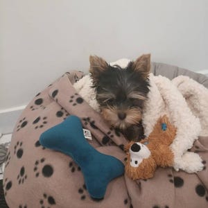 Carole added a photo of their purchase