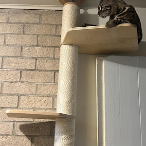 Kashimus added a photo of their purchase