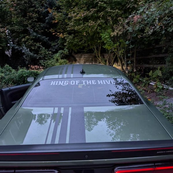 Custom Windshield Vinyl Decal | Personalized Text & Number Vinyl ...