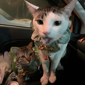 Karin added a photo of their purchase