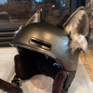 Mary added a photo of their purchase
