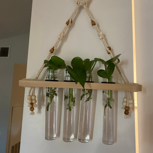 Hanging Propagation Station 8 Slot Live Plant Cutting Propagation Rope ...