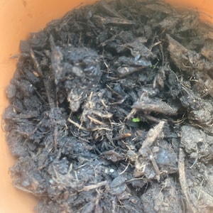 Amanic added a photo of their purchase