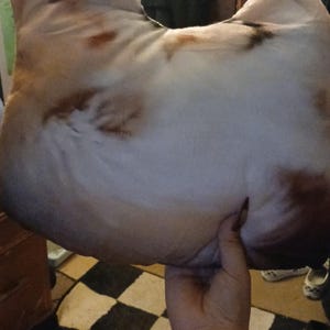 Chloe hat ein Foto des gekauften Artikels hinzugefügt