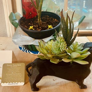Jimmy added a photo of their purchase