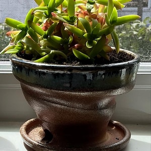 Mare added a photo of their purchase