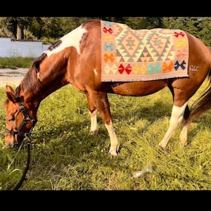 Anisat added a photo of their purchase