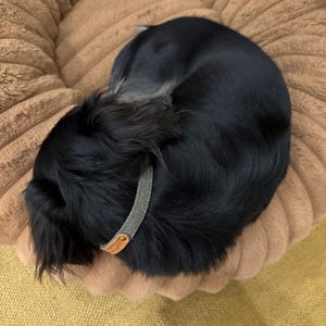 Bob ha aggiunto una foto del proprio acquisto
