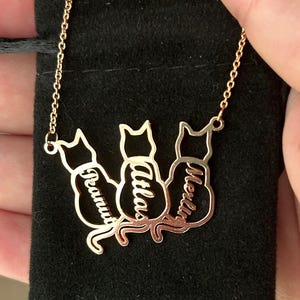 Nicole added a photo of their purchase