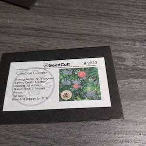 Marsha added a photo of their purchase