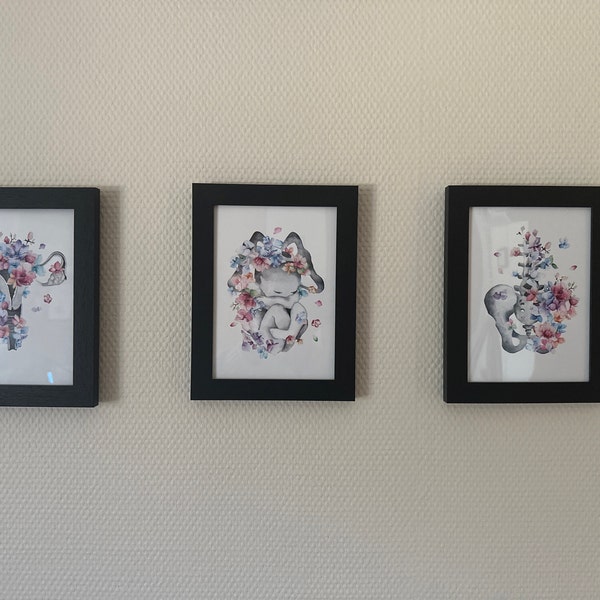 pelvis-anatomy-print-set-set-of-3-pelvic-floor-muscles-art-posters