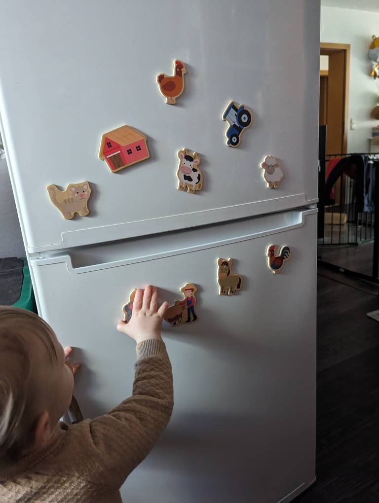 Fridge magnets: farm, board magnets, fridge magnets, wooden magnets, gift for children, birthday gift, children&#39;s activity