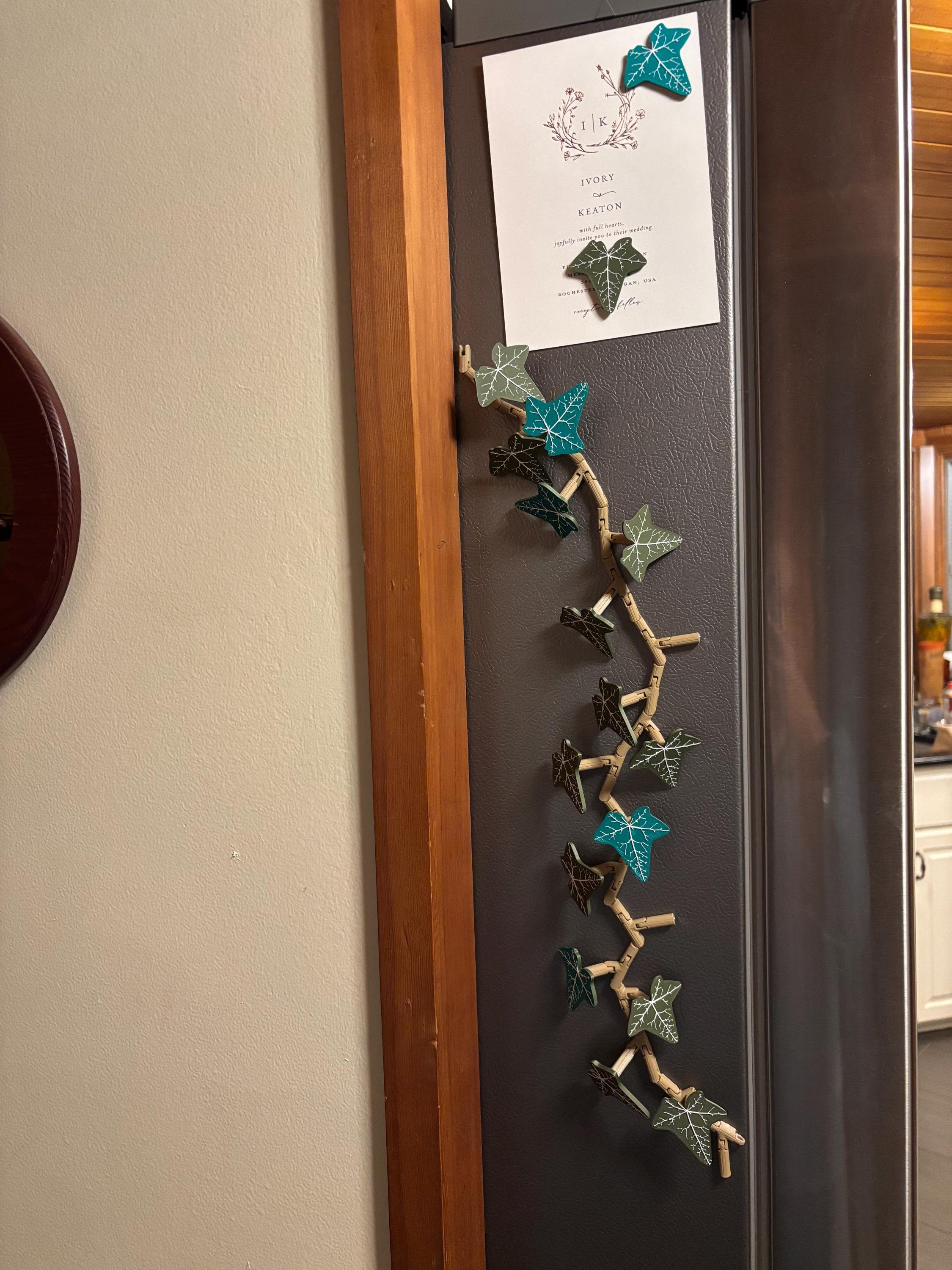 English Ivy Fridge Magnet | Flexible Climbing Magnet Vine | Articulated Ivy for Fridge | Magnetic Leaf Decor 3D Printed Ivy Magnet Organizer