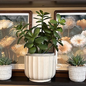 GhostMother added a photo of their purchase