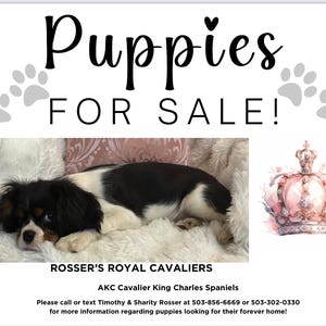 Sharity added a photo of their purchase