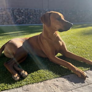Katie added a photo of their purchase