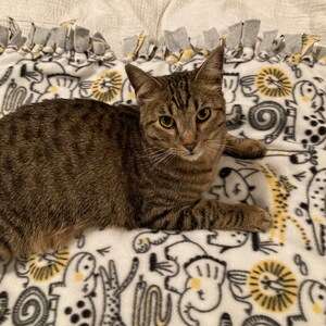 kenneth added a photo of their purchase