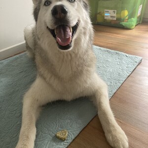 Lana added a photo of their purchase