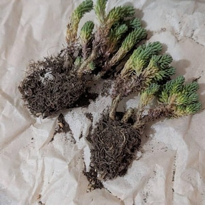 Rebeccq added a photo of their purchase