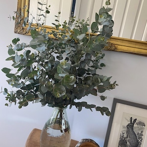 Dale added a photo of their purchase