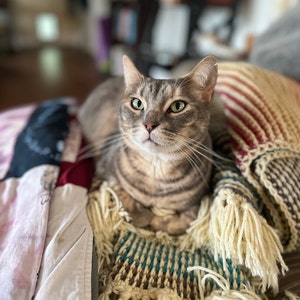 Abby ha aggiunto una foto del proprio acquisto