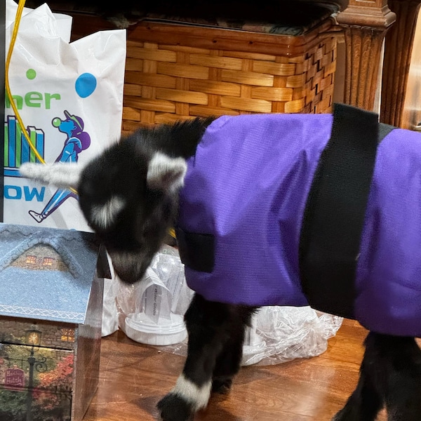 PREMIER GOAT COAT YOUTH