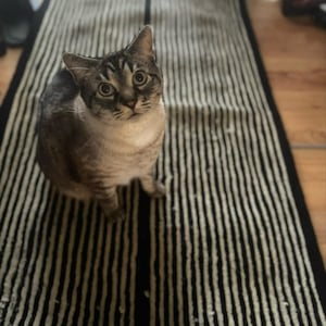 Christie added a photo of their purchase