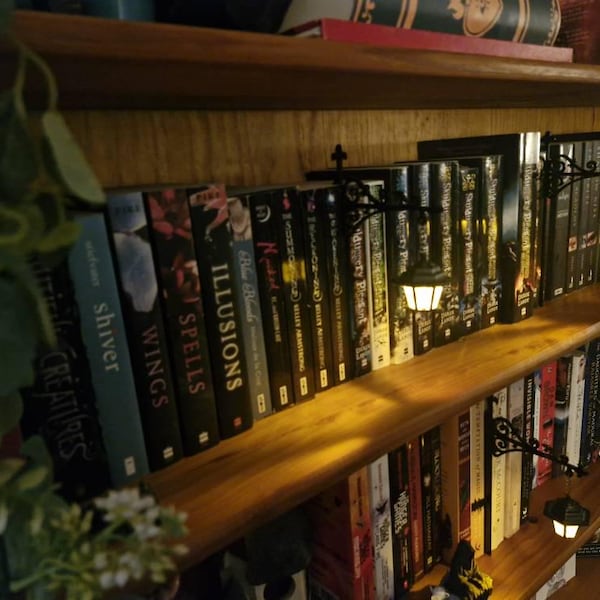 Library Lantern – Mini Bookshelf Lamp, Fantastic Shelf Decor, Warm and ...