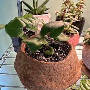 Comprador de Etsy ha añadido una foto de su compra
