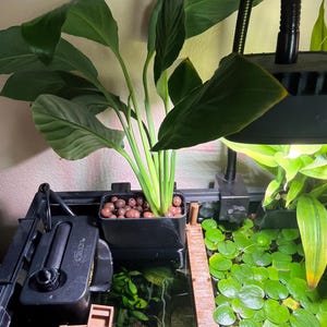 Vanessa added a photo of their purchase