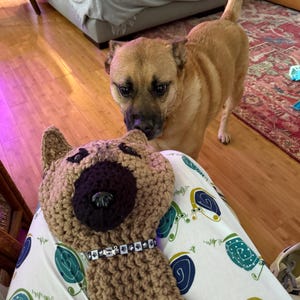 Kelsey added a photo of their purchase
